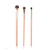 Image of 10 PIECE KABUKI BRUSH SET